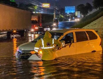 Lluvia deja inundación y caída de árboles 