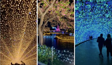 Ya casi esta listo el parque navideño de Querétaro; tendrá 100 mil luces