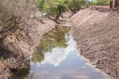 Reitera IMSS previsiones x dengue