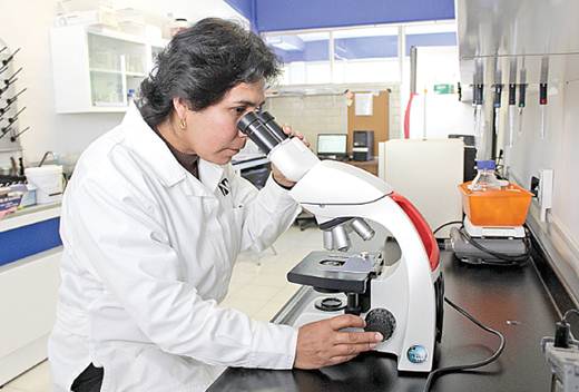 Crece 261% fondo para investigación