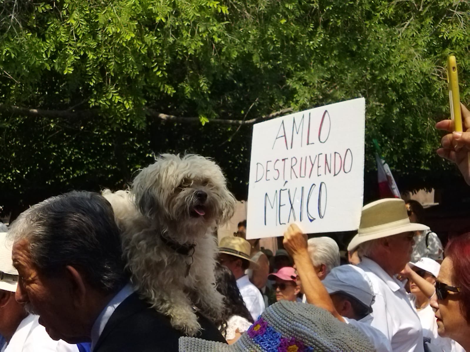 Fotos. Queretanos se manifiestan en defensa del INE