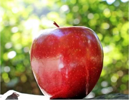 Conoce los beneficios de los ingredientes del ponche de frutas