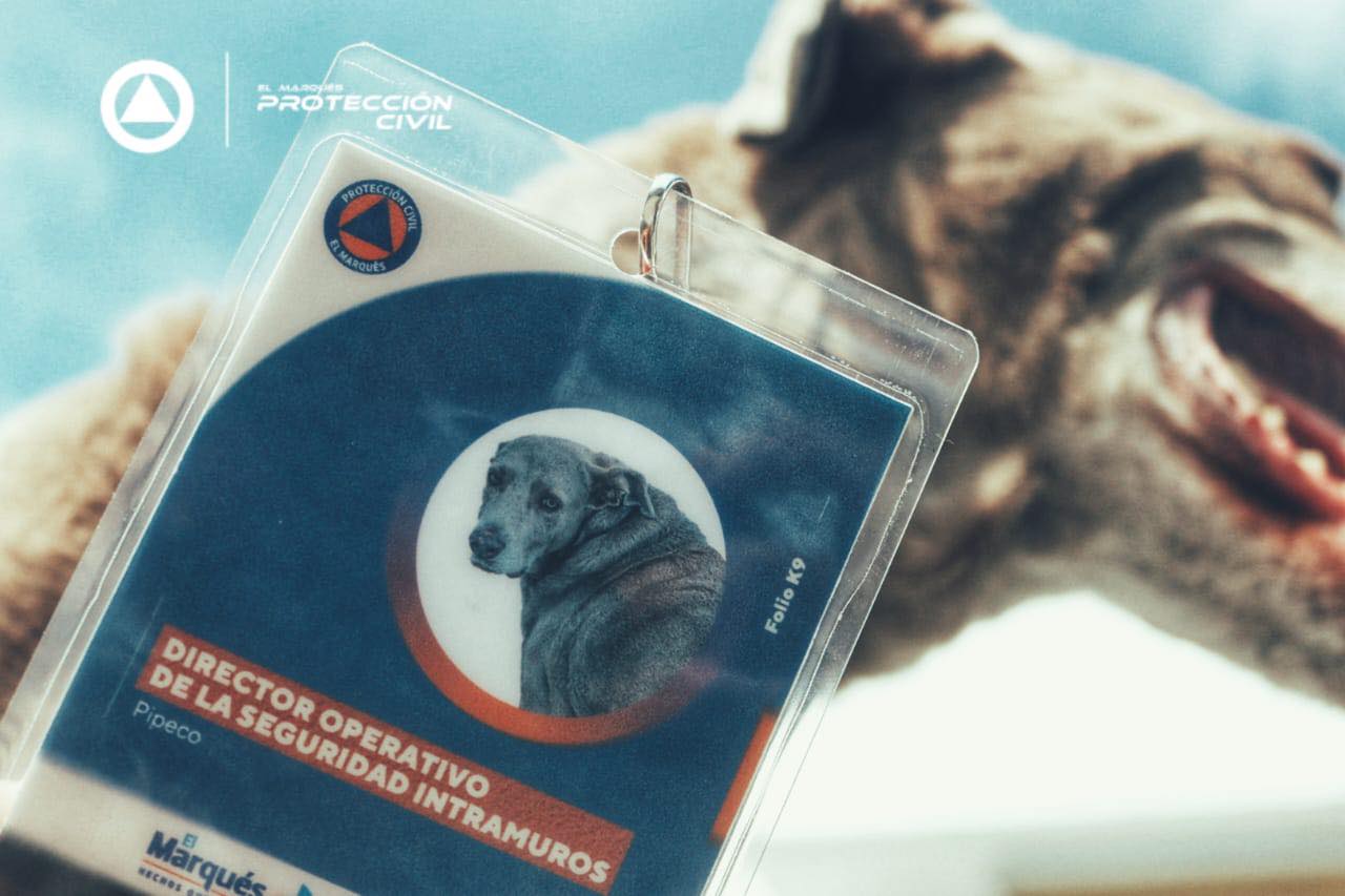 Foto. Facebook Protección Civil El Marqués