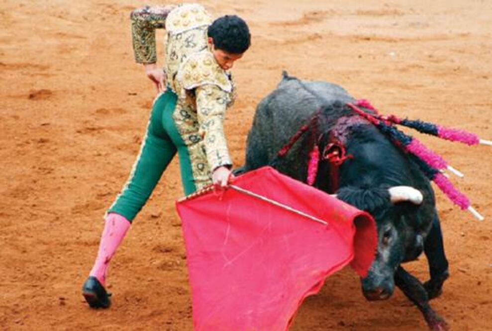 Celebración taurina de Año Nuevo