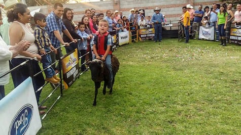 #TierradeEmprendedores Rodeo Kids, diversión infantil al estilo vaquero