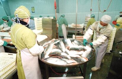 IFRS en compañías de alimentos y bebidas 