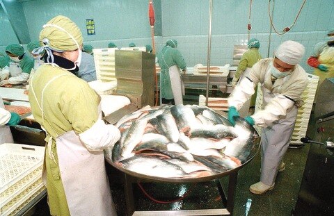 IFRS en compañías de alimentos y bebidas