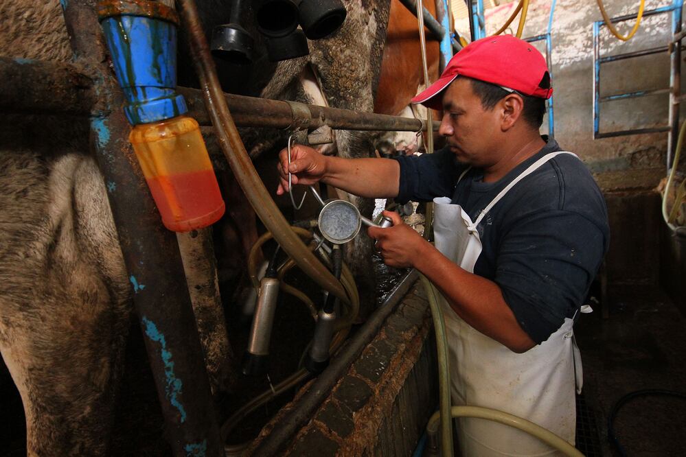 (Fotos: LUIS SÁNCHEZ)