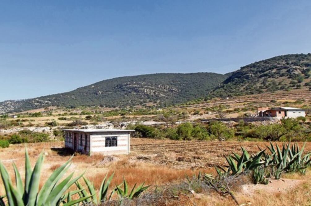 Avanza regulación de terrenos en SJR