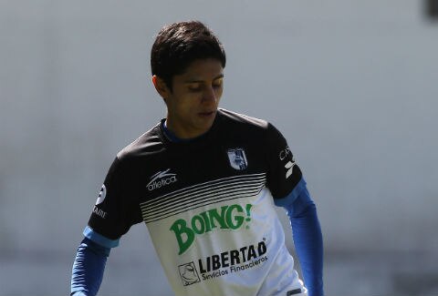 Gallos no piensa en las estadísticas