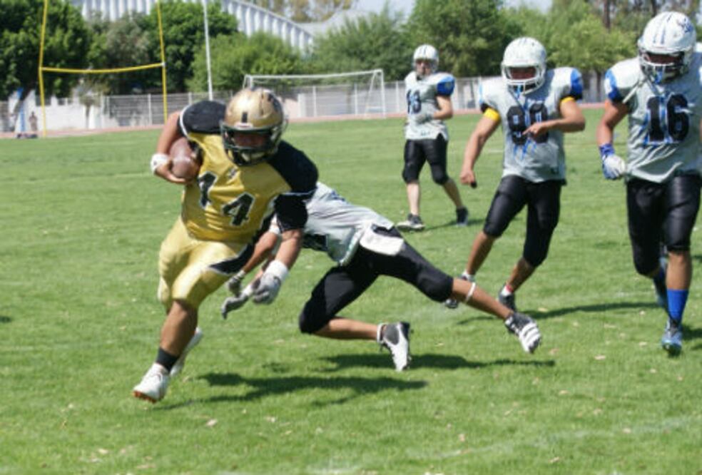 Gatos Salvajes se despiden de torneo