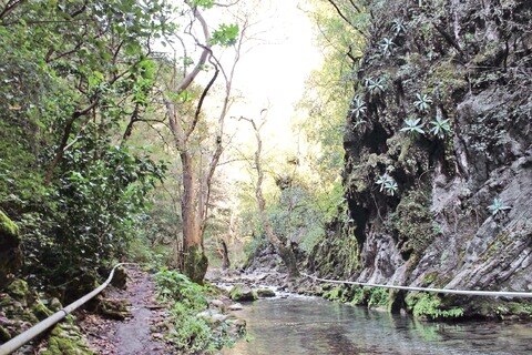 Serranos luchan vs contaminación 