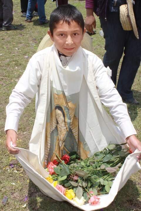 Van contra riesgos sanitarios