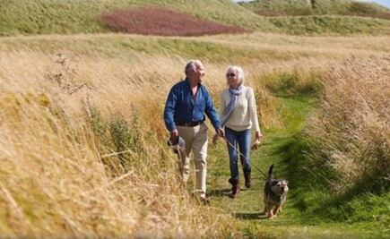 Pasear al perro, clave para una vejez saludable