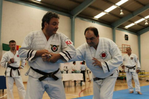 Nippon kempo, en pleno  desarrollo