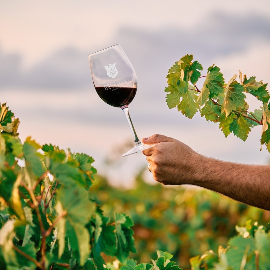 Foto: Facebook Vinos del Marqués.