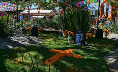 Amealco en Día de Muertos: Así se vive la “fiesta de flores” en este Pueblo Mágico de Querétaro