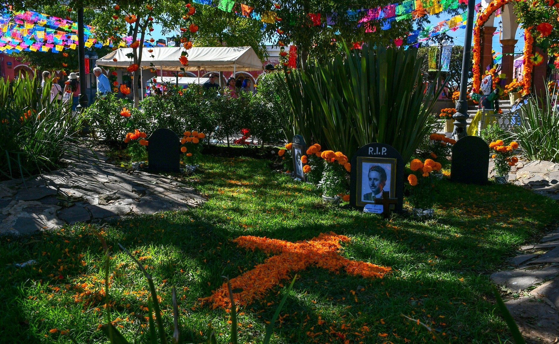 Amealco en Día de Muertos: Así se vive la “fiesta de flores” en este Pueblo Mágico de Querétaro