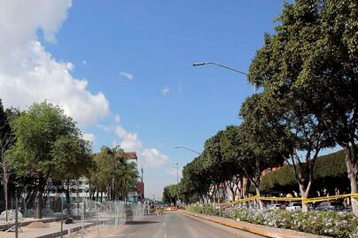 Piden transparencia en retiro de árboles