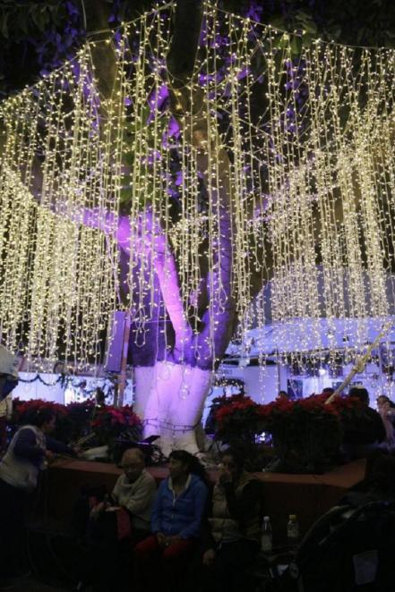 Encienden el árbol de Navidad en Corregidora