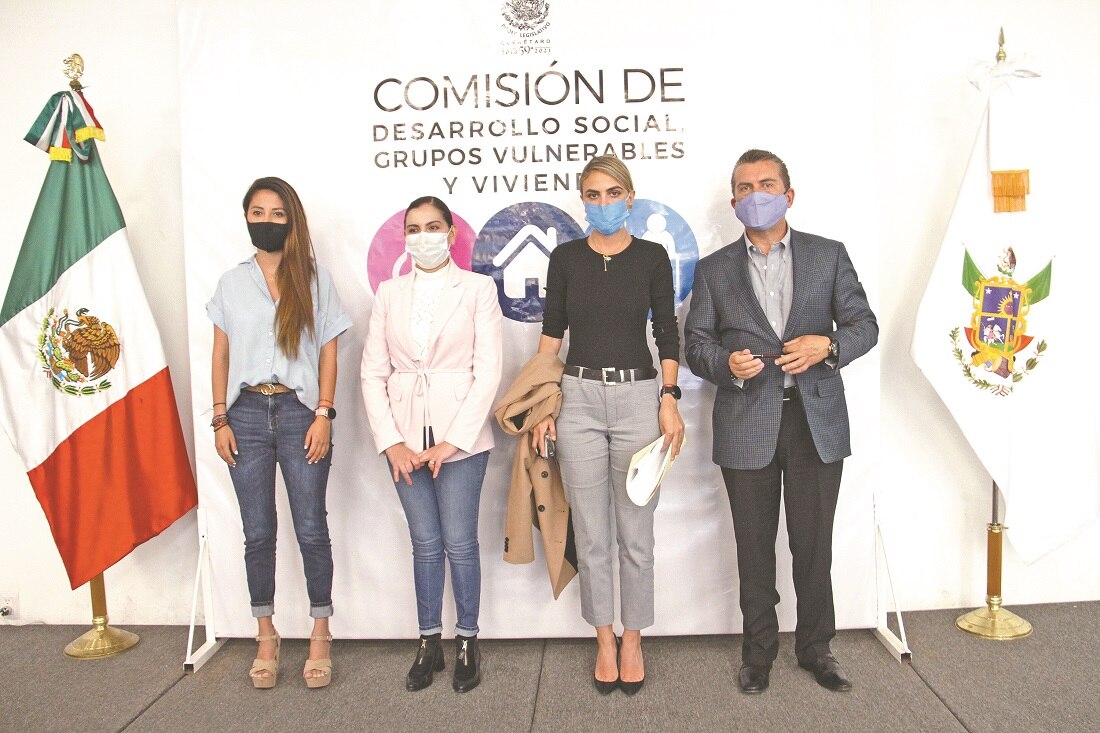 Ley de protección para embarazadas, con aval