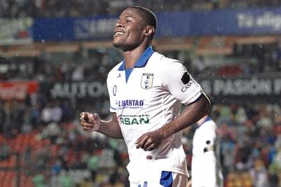 Los Gallos quieren recuperar terreno