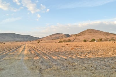 Destinan 500 mil pesos al campo de Huimilpan