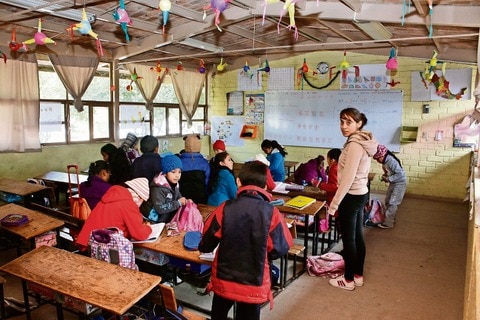 ‘Primaria sí tiene docentes’