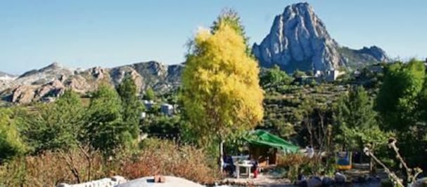 Invierte industria en energía sustentable 