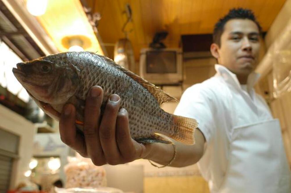 Algunos productos marinos que no son producidos en la entidad, son traídos de Tamaulipas, Veracruz, e incluso del mercado La Viga, en la Ciudad de México, aseguró el jefe de departamento de Conapesca en la entidad.