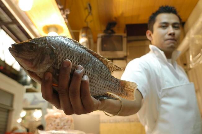 Algunos productos marinos que no son producidos en la entidad, son traídos de Tamaulipas, Veracruz, e incluso del mercado La Viga, en la Ciudad de México, aseguró el jefe de departamento de Conapesca en la entidad.