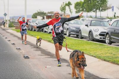 Lomitos y sus dueños, a contrarreloj