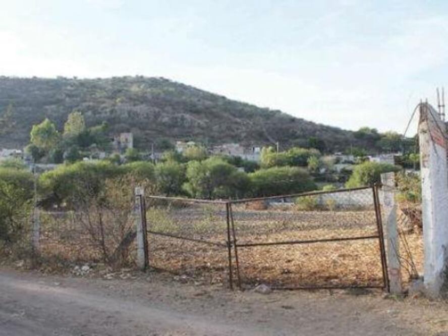 Subastarán predios del gobierno