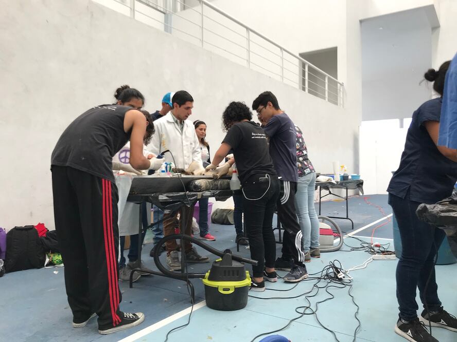 Foto: Demian Chávez