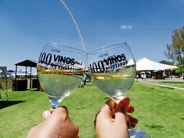 Festival 100 vinos mexicanos 2022; se llevará a cabo en Querétaro