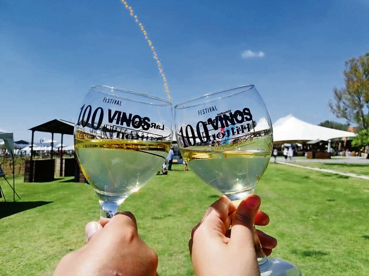 Festival 100 vinos mexicanos 2022; se llevará a cabo en Querétaro
