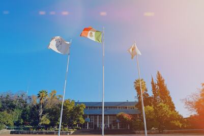 Sesiones del Consejo Universitario serán online, durante la cuarentena 