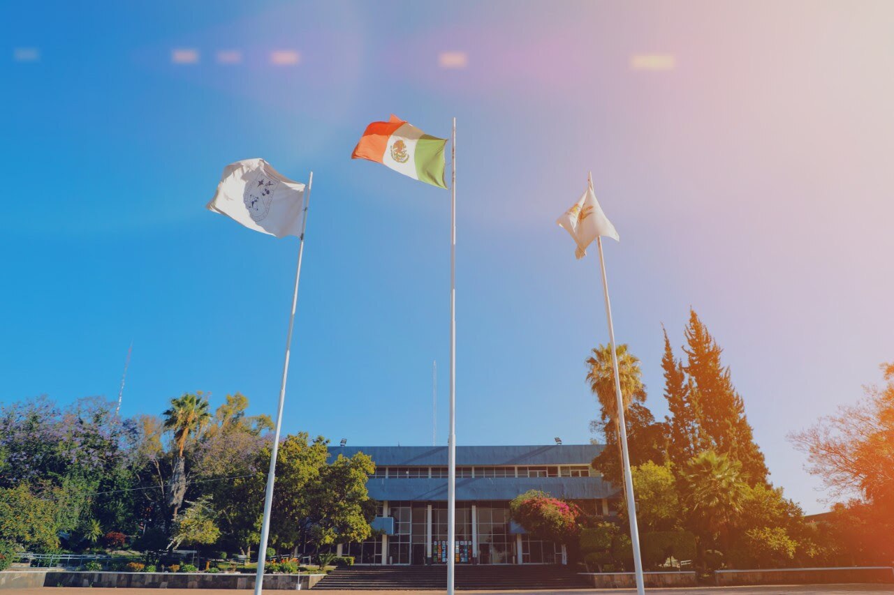 Sesiones del Consejo Universitario serán online, durante la cuarentena
