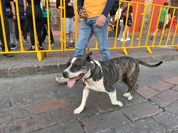 Hombre que macheteó a Magdaleno, a proceso