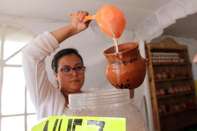 Fomentan consumo de las etnobebidas