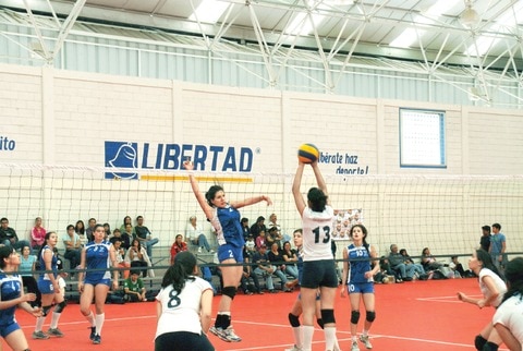 Invitan a curso de voleibol