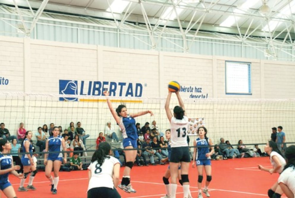 Invitan a curso de voleibol