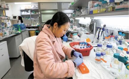 Desarrollan medicamentos y vacunas contra Covid-19