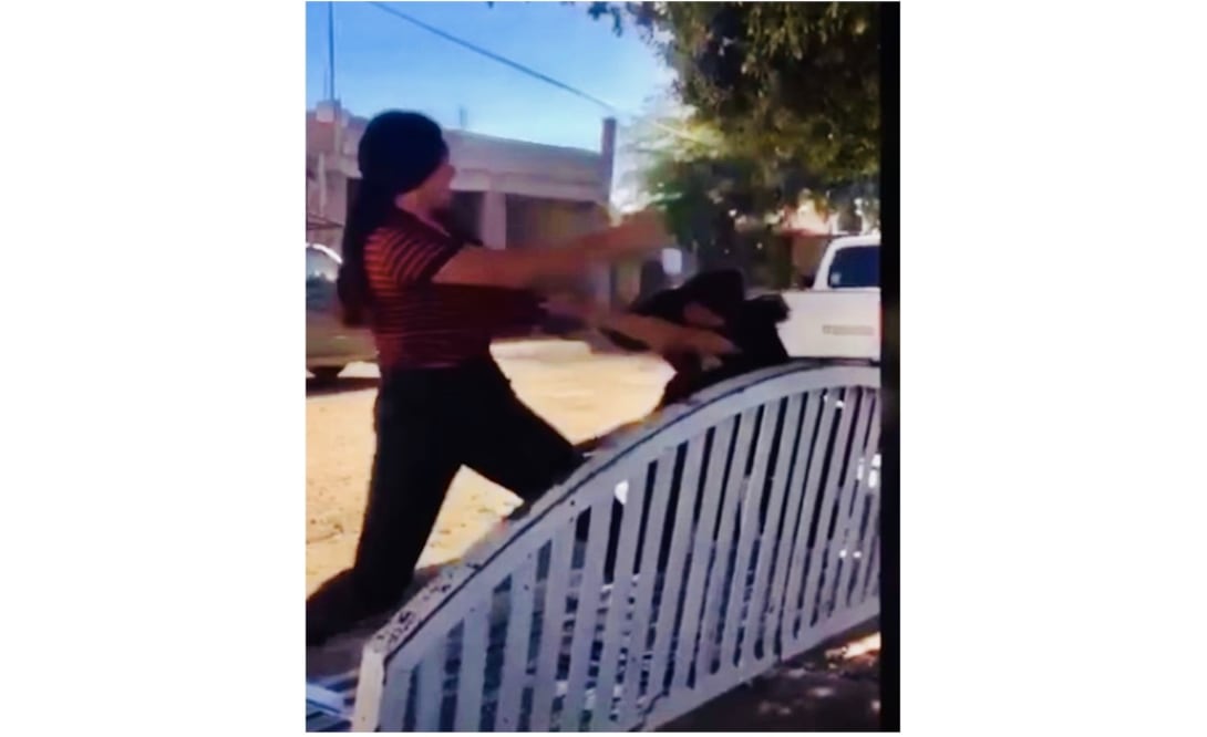 Indigna en redes brutal golpiza entre adolescentes; "¡ya me pegaste, ya!" le suplicaba a Wendy