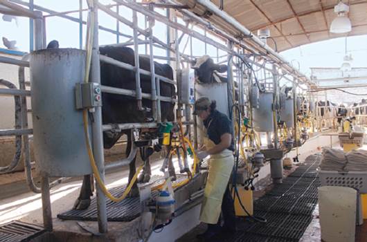 México, entre punteros