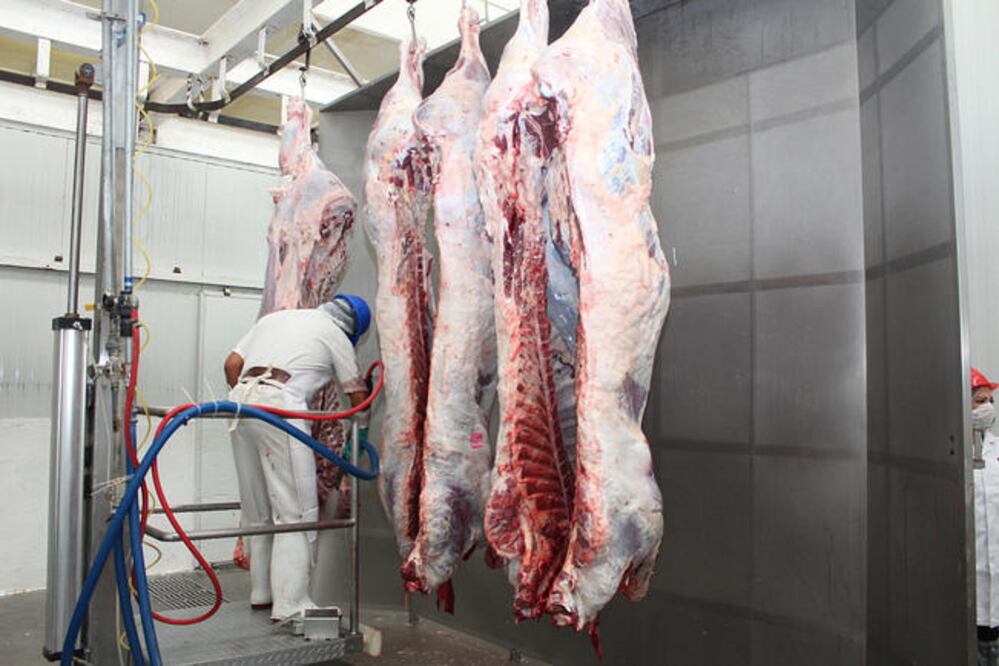 Las rehabilitaciones y equipamiento planteadas por los usuarios del rastro representan una inversión de 2 millones de pesos. (ARCHIVO. EL UNIVERSAL)