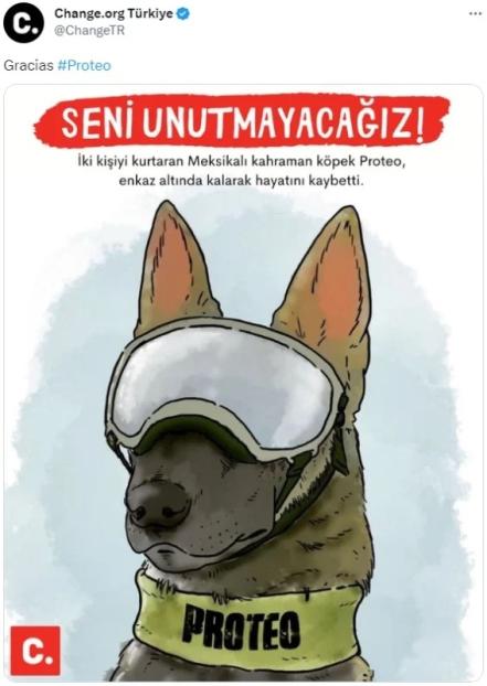 Turquía y los agradecimientos a Proteo, perro rescatista de México