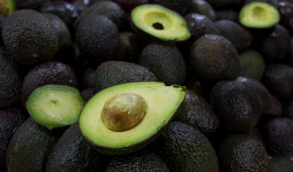 FOTO: Archivo El Universal