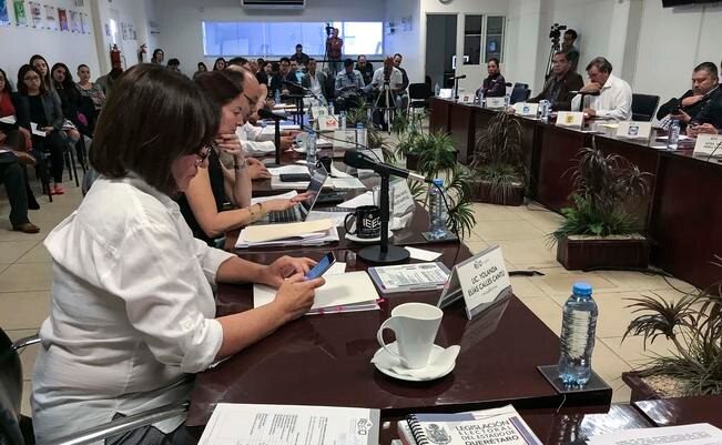 Del total de las 860 secciones en que están divididos los cinco distritos federales, 530 son urbanas y 350 no urbanas. / Foto: Demian Chávez