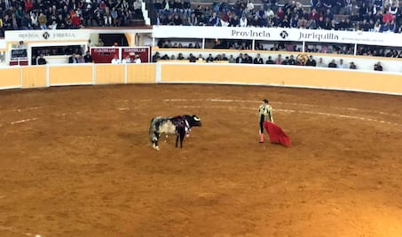 Rechazan iniciativa que prohibiría a menores entrar a corridas de toros